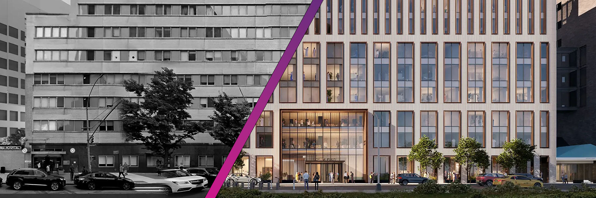 TCH before and after banner