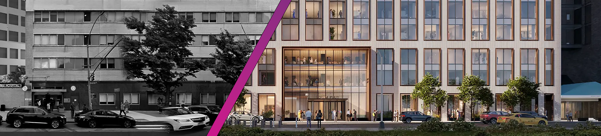 TCH before / after banner