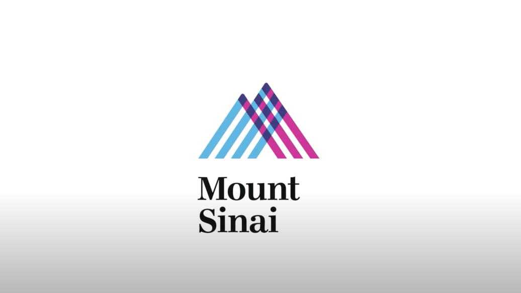 ms logo